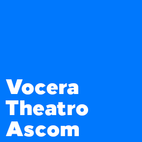 Earpieces for Vocera, Theatro, and Ascom